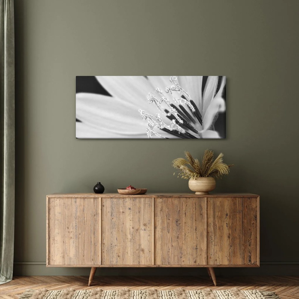 Tablou - Floare albă și neagră (120x50 cm)