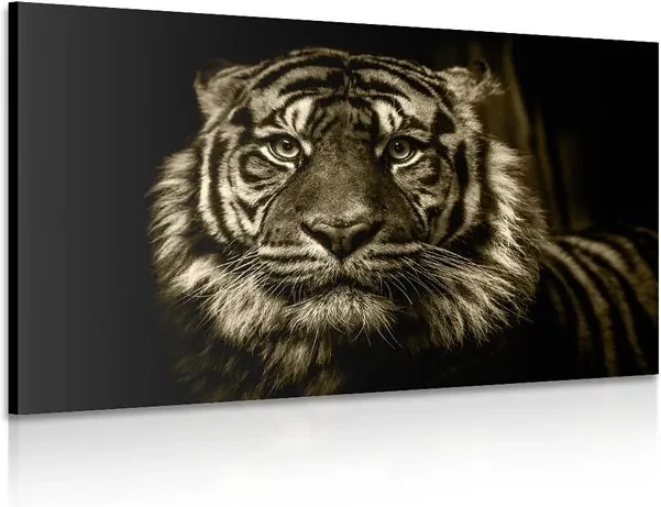 Tablou tigru în design sepia