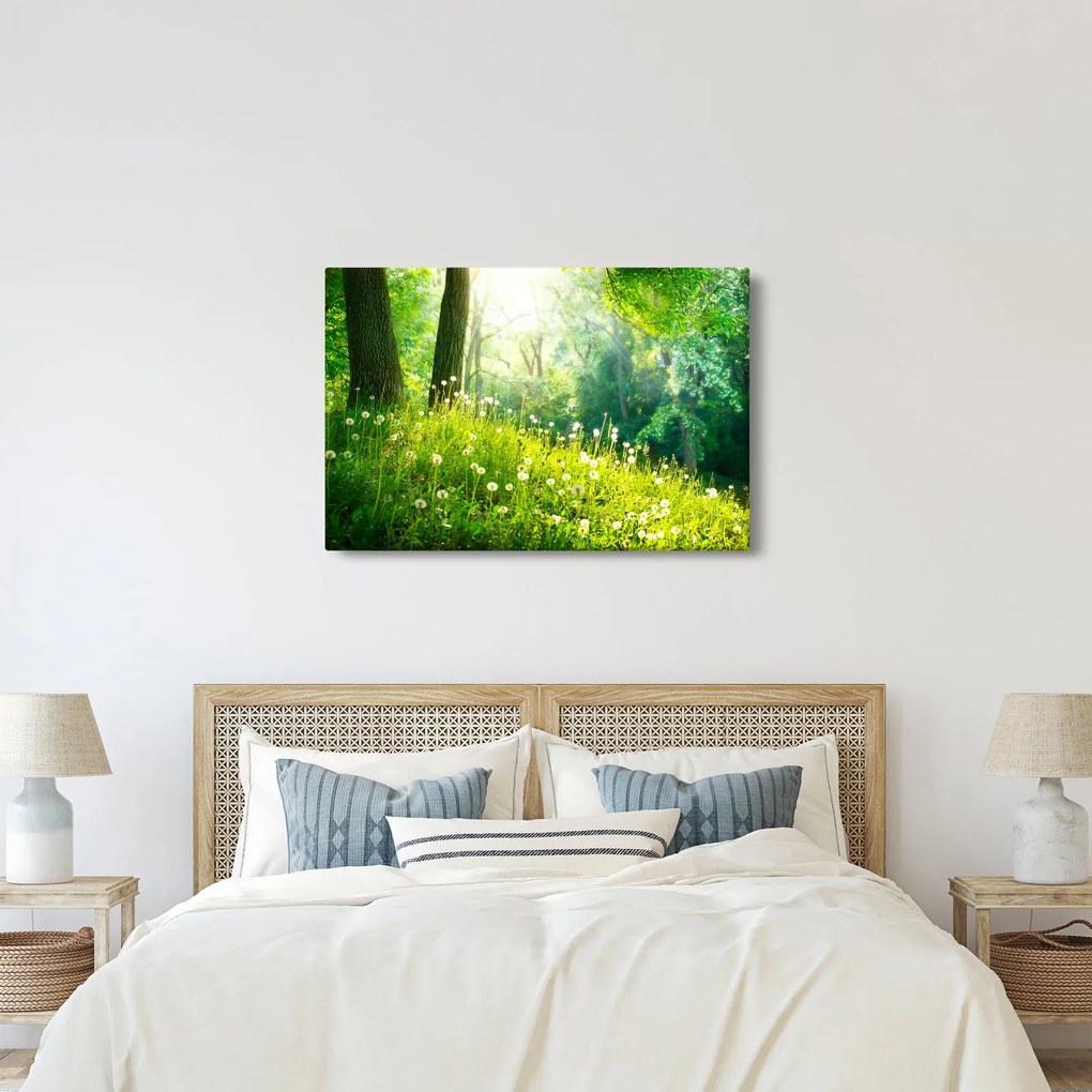 Tablou - Pajiște magică plină de păpădii (90x60 cm)