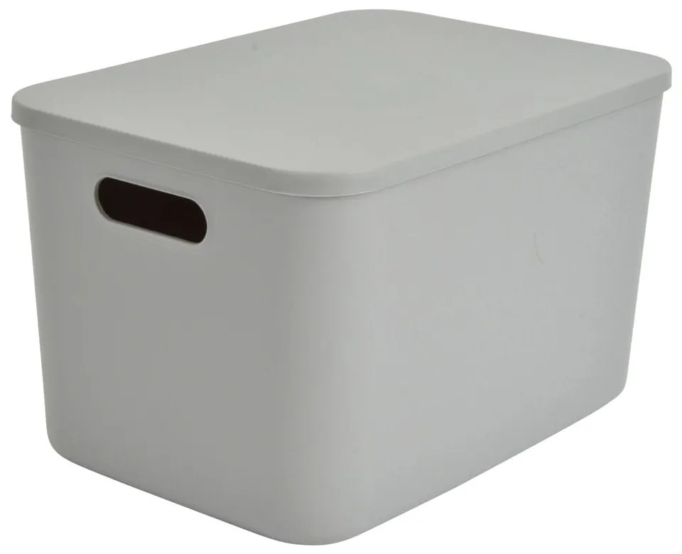 Cutie de depozitare gri din plastic cu capac 35,5x25,5x23 cm – Homéa