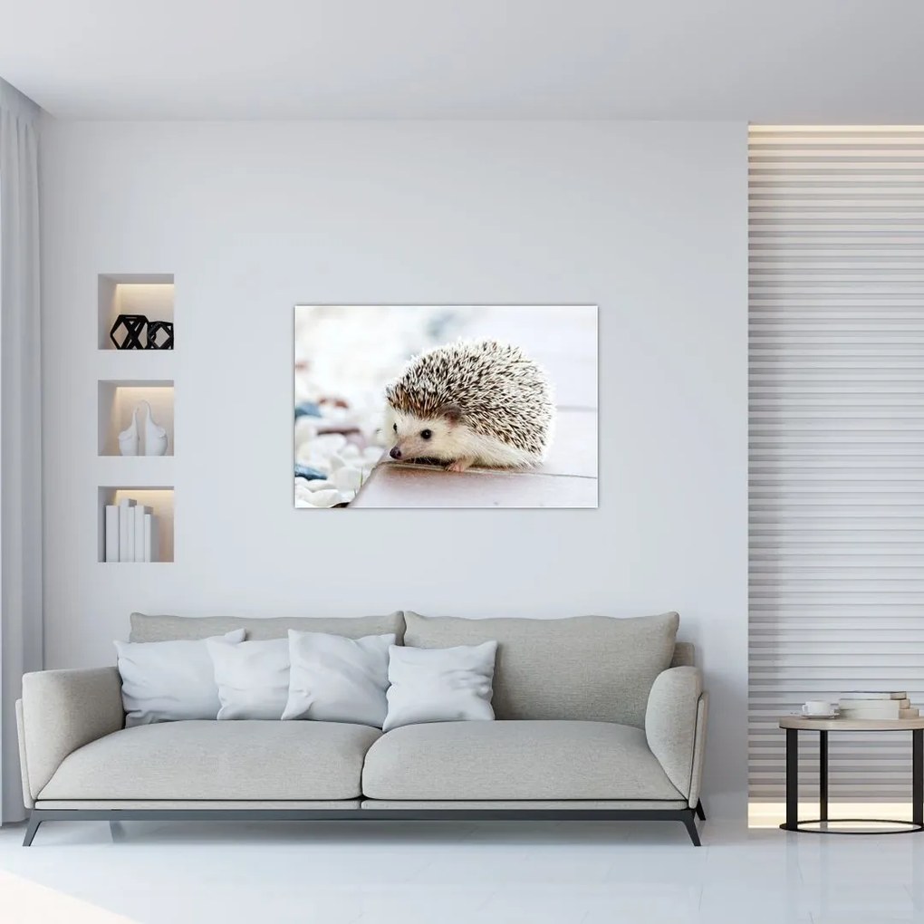 Tablou cu arici (90x60 cm)