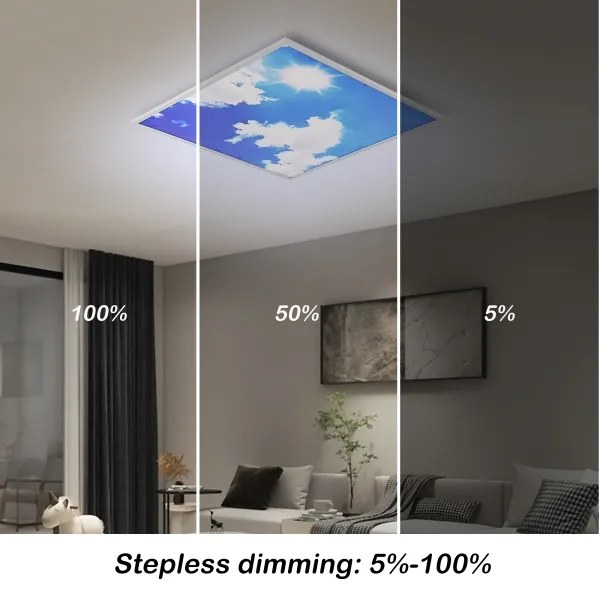 Brilagi-LED SLIMFRAME SKY – corp de iluminat LED dimabil, 58W, 230V, 60x60 cm, argintiu/albastru + telecomandă