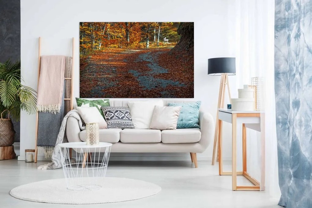 Tablou canvas Peisaj toamna prin parc - 40x30 cm