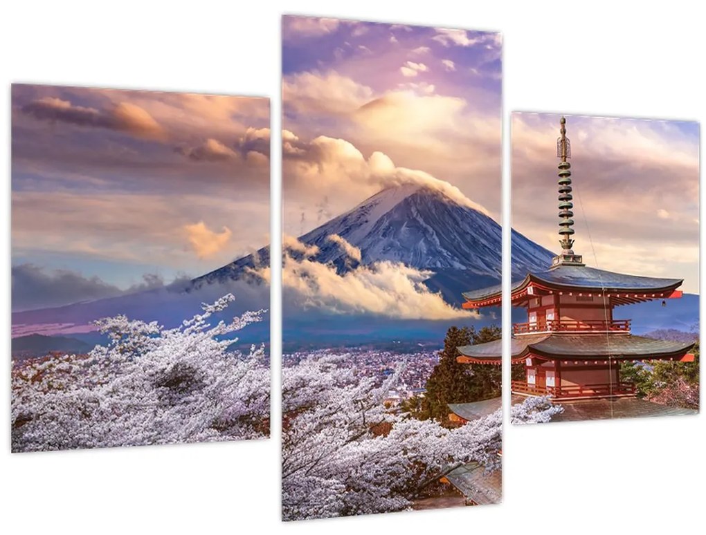 Tablou - Muntele Fuji (90x60 cm)