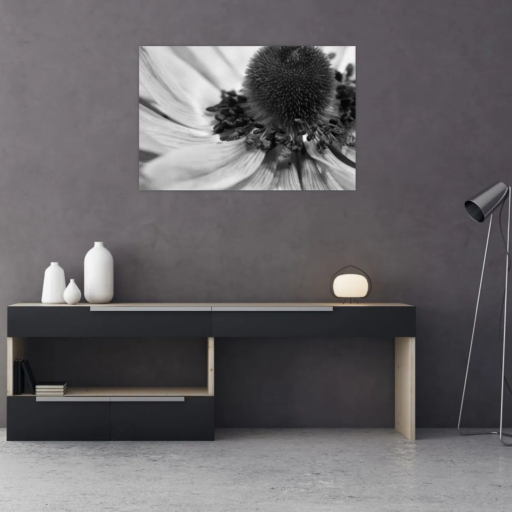 Tablou - Floare în alb-negru (90x60 cm)