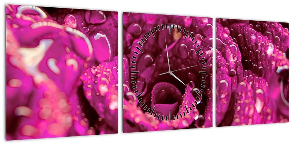 Tabloul cu floarea trandafirului roz (cu ceas) (90x30 cm)