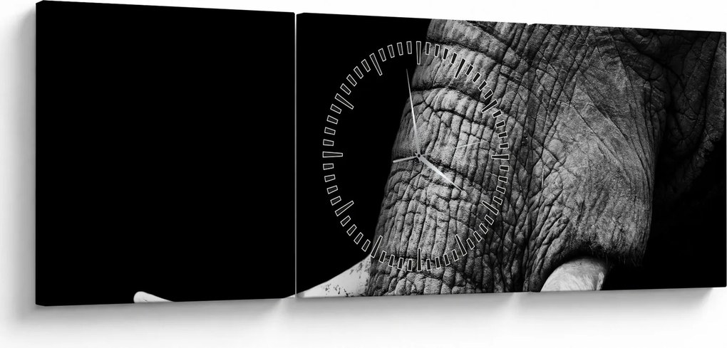 Tablou - Colți de elefant (cu ceas) (90x30 cm)