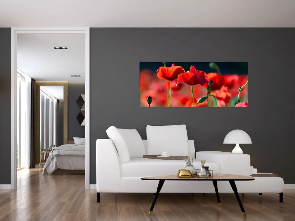 Tablou - flori de maci (120x50 cm)