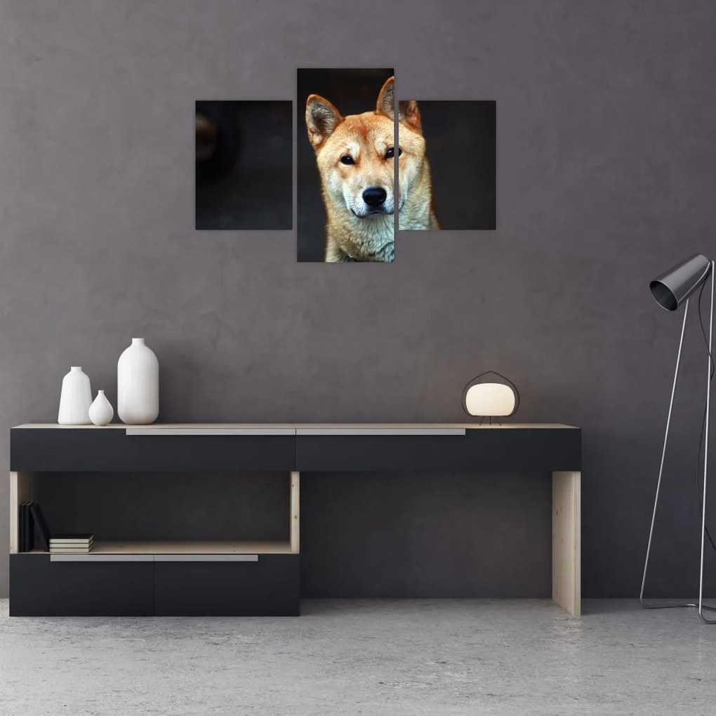 Tablou cu câine (90x60 cm)