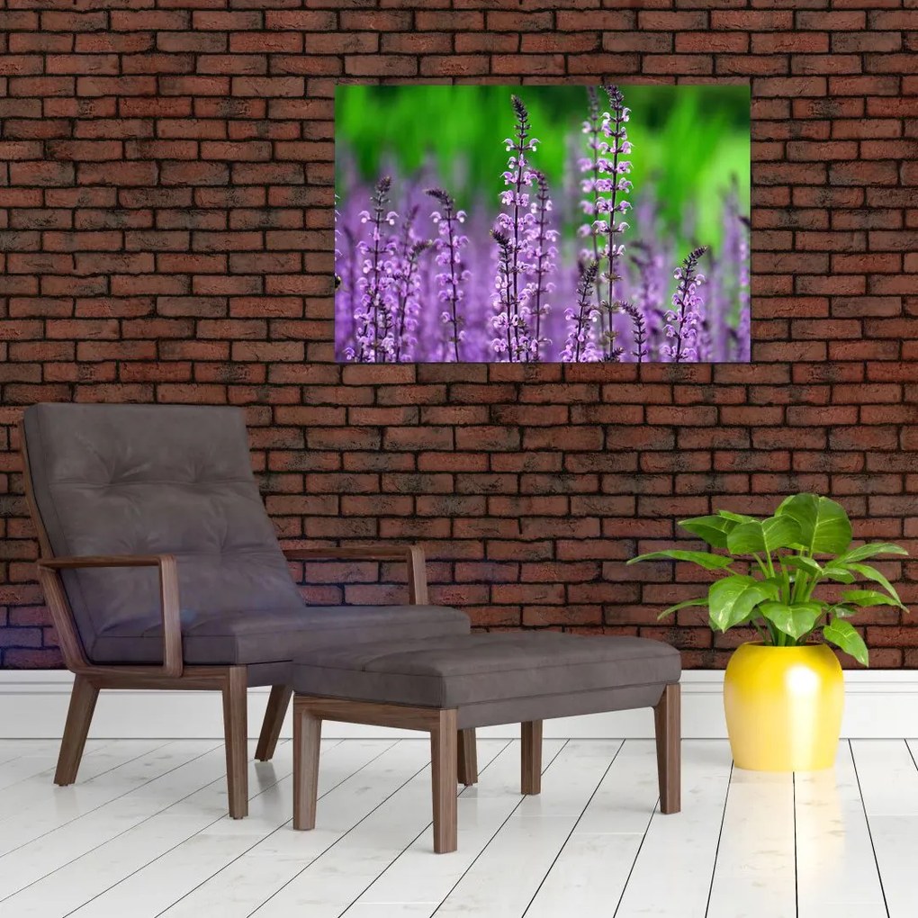 Tablou cu flori de luncă violete (90x60 cm)