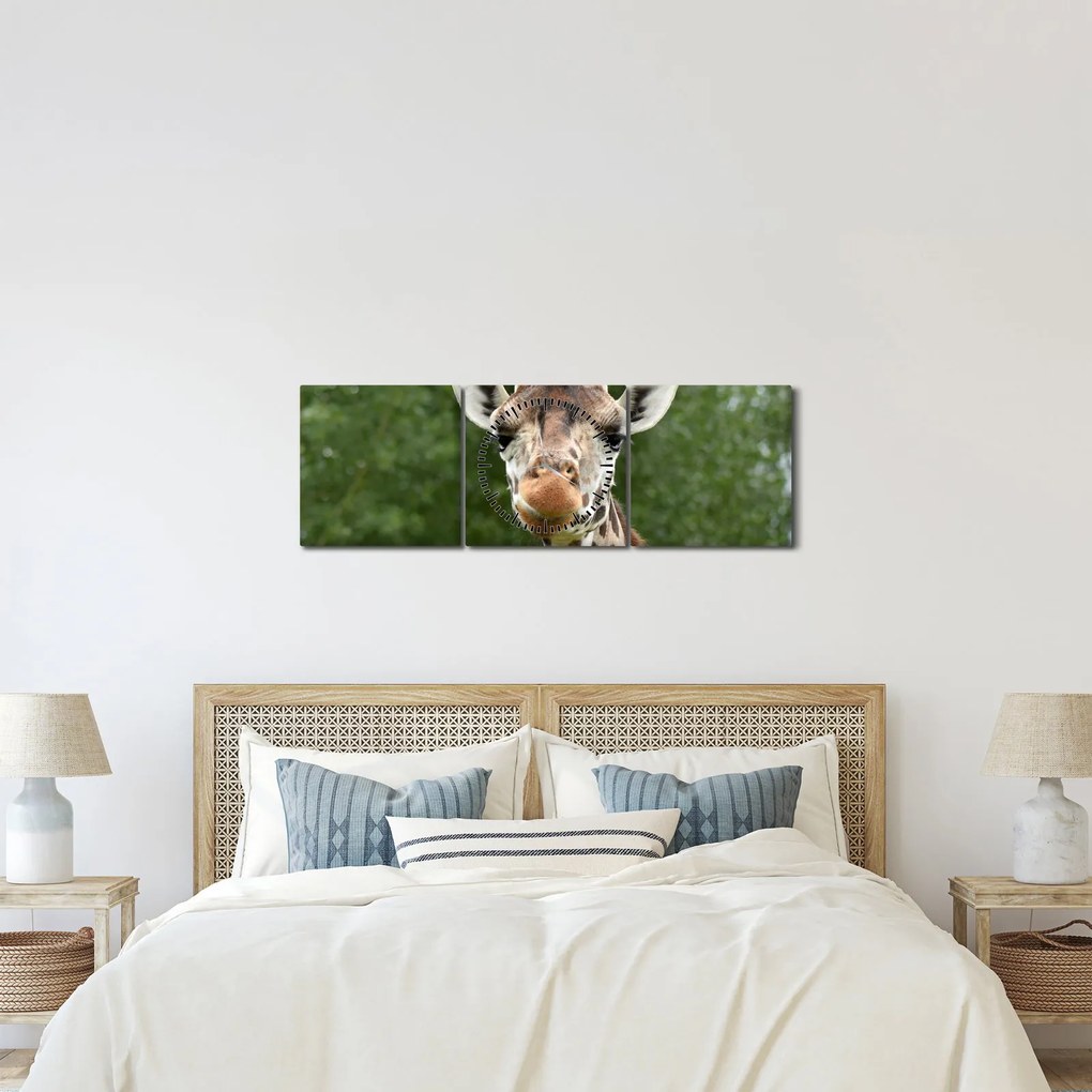 Tablou cu girafa (cu ceas) (90x30 cm)