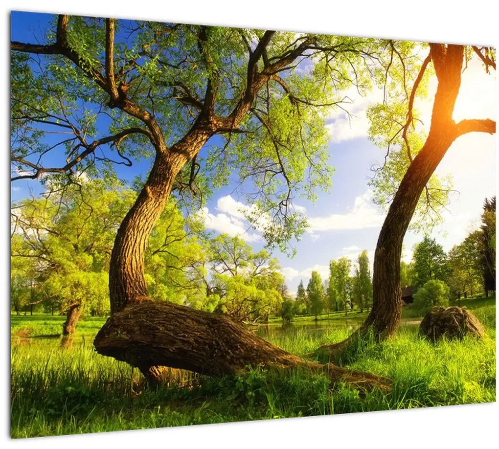 Tablou pe sticlă lunca ne primăvară (70x50 cm)