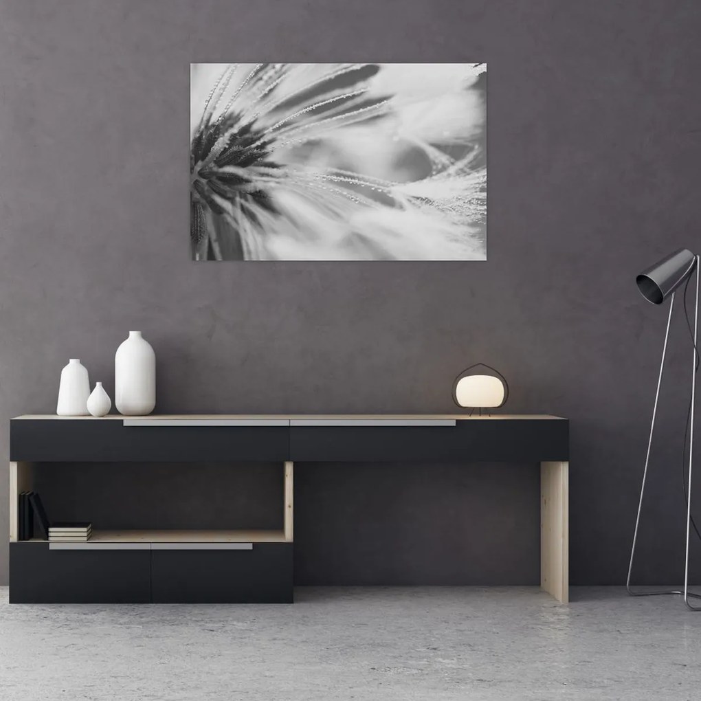 Tablou - Păpădie (90x60 cm)