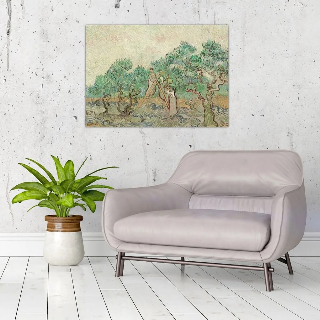 Tablou pe sticlă - Vincent van Gogh, The Olive Orchard, reproducere (70x50 cm)