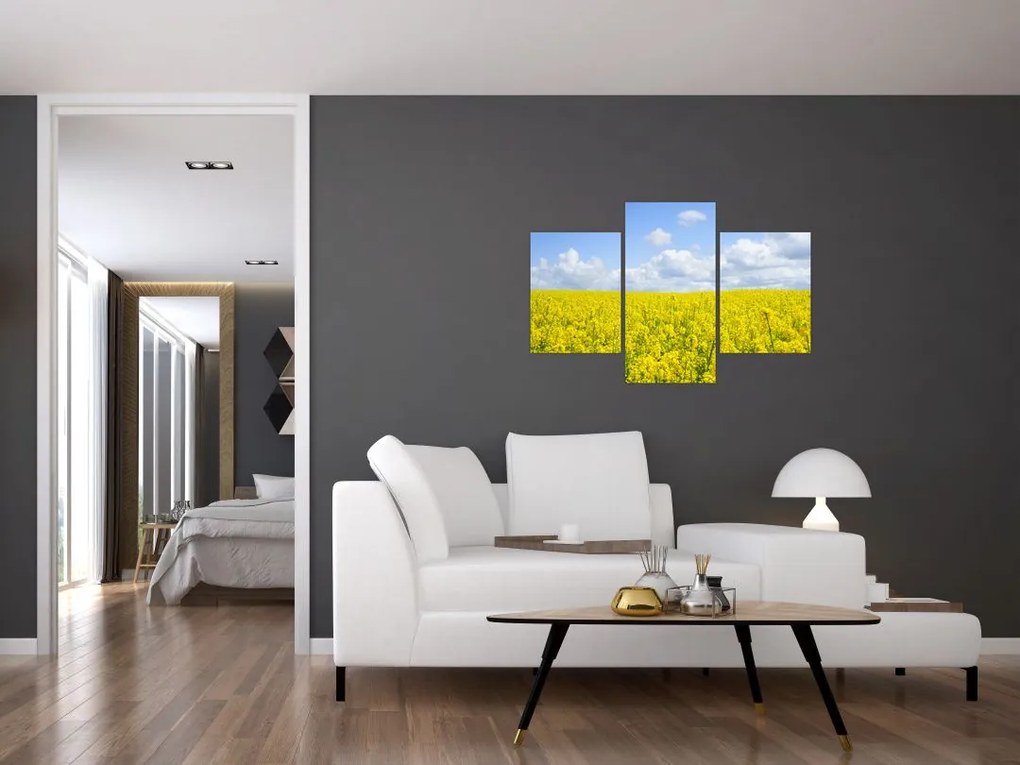 Tablou - Câmp galben (90x60 cm)