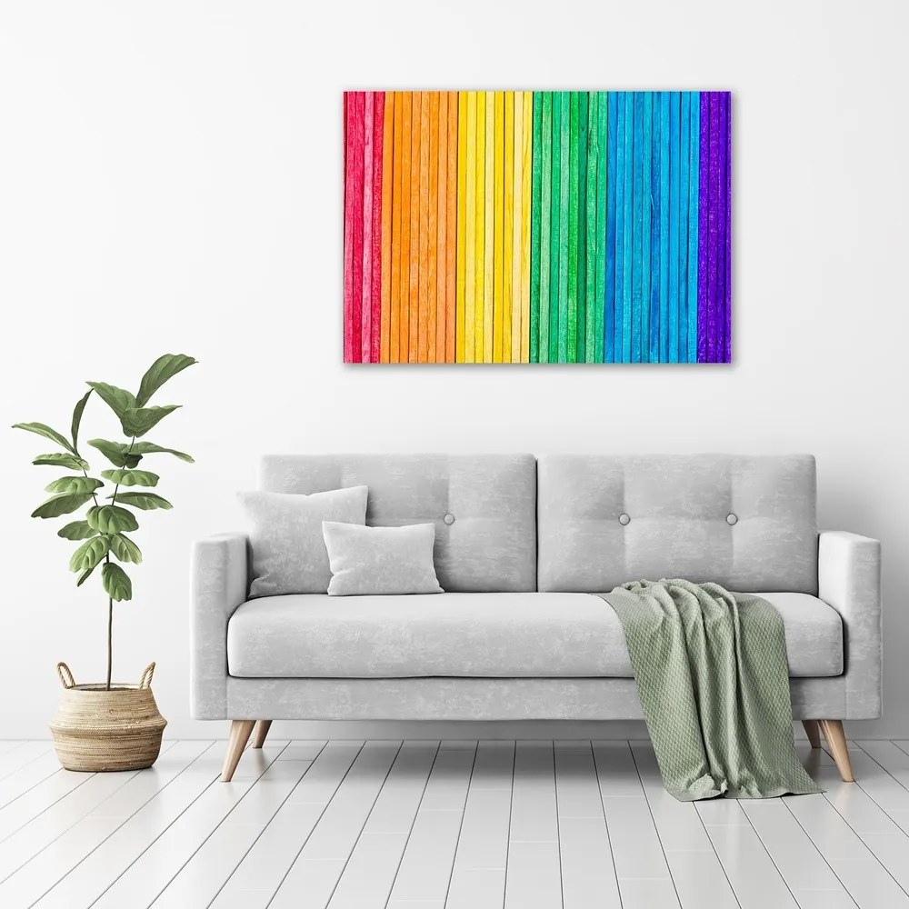 Tablou canvas Dungi colorate