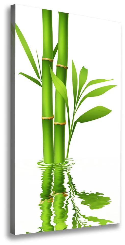 Pictură pe pânză Bambus