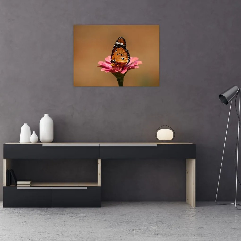 Tablou cu fluture pe floare (70x50 cm)