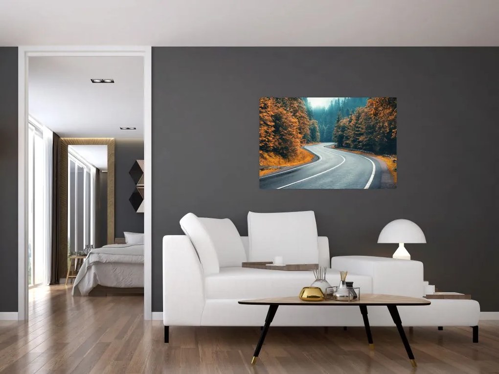 Tablou - Drumul cu serpentine (90x60 cm)