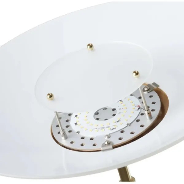 Paul Neuhaus 655-60 - Lampă LED dimmabilă ALFRED LED/28W/230V+LED/4W/230V
