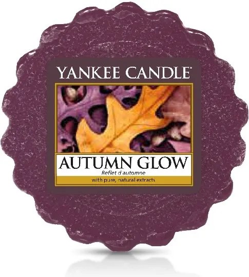 Yankee Candle ceara pentru aroma lampa Autumn Glow