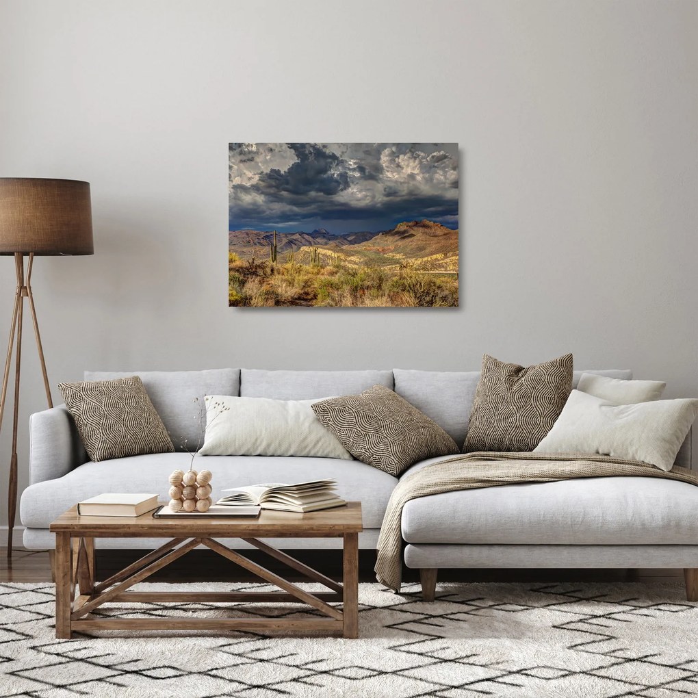 Tablou pe sticlă - cactușii în natură (70x50 cm)
