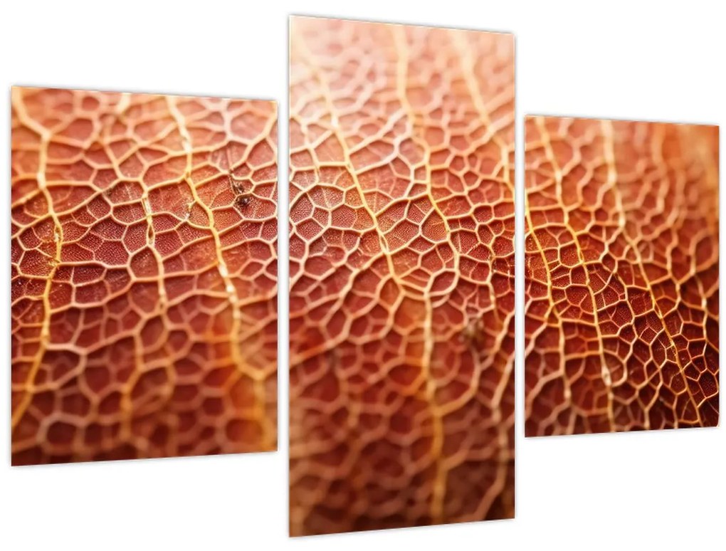 Tablou - Detaliu de textură (90x60 cm)