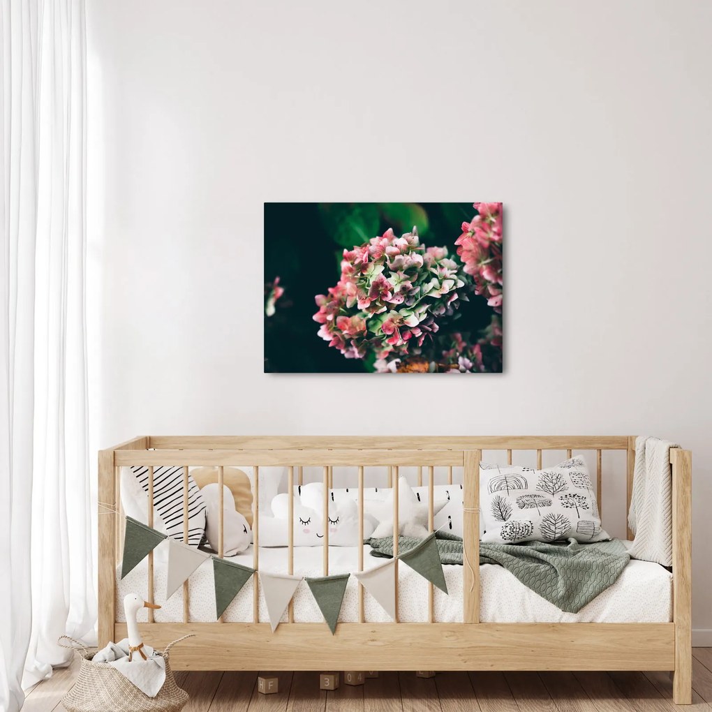 Tablou - Hortensie (70x50 cm)