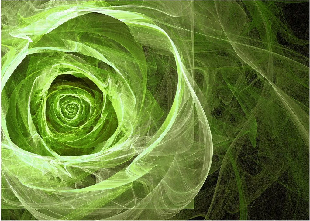 Tablou - Abstract Rose Green (70x50 cm)