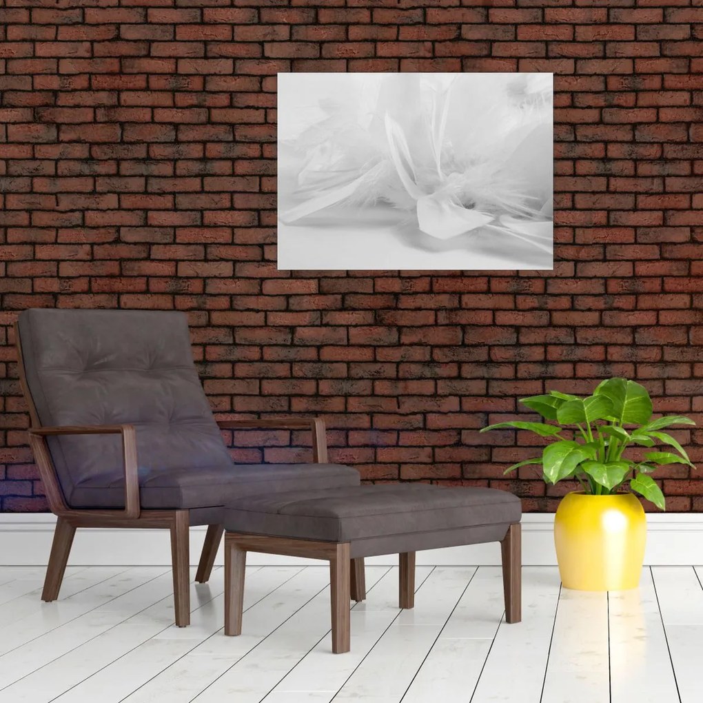 Tablou pe sticlă - Pene (70x50 cm)