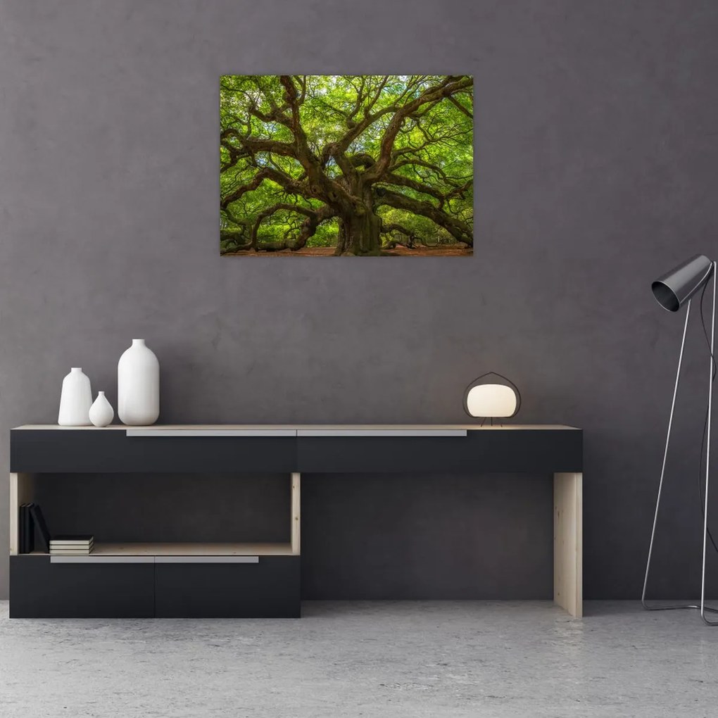 Tablou pe sticlă - Copac verde (70x50 cm)