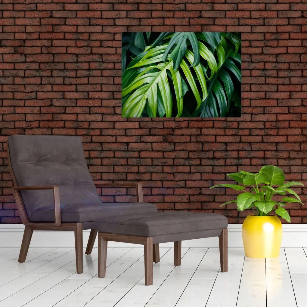 Tablou pe sticlă - Frunze tropicale (70x50 cm)
