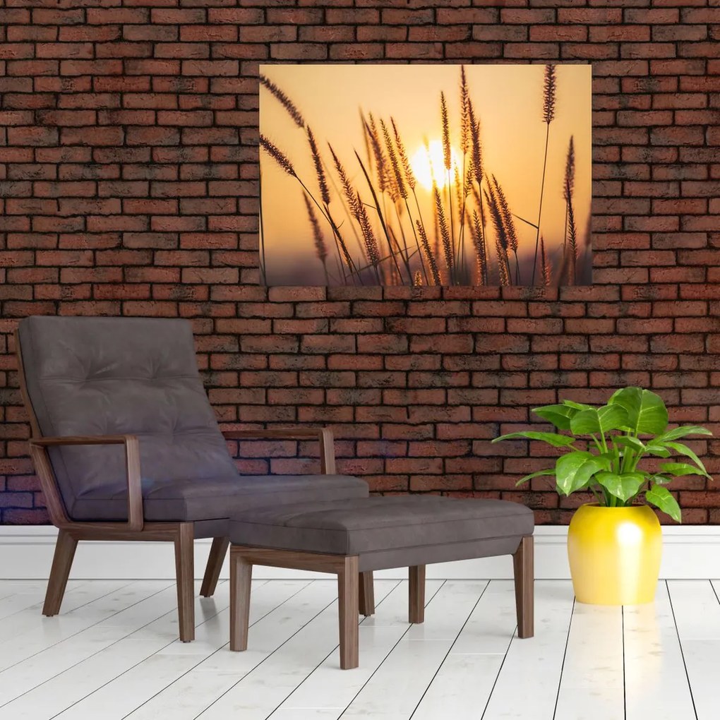 Tablou - Iarbă la soare (90x60 cm)