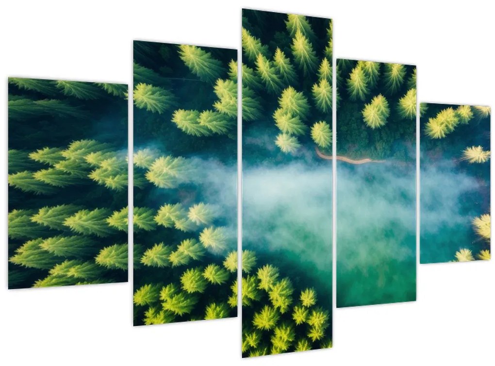 Tablou - O pădure învăluită în ceață (150x105 cm)