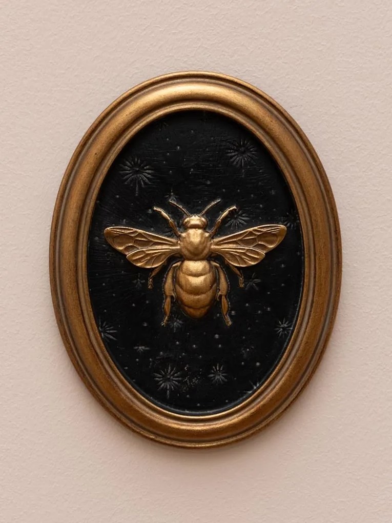 Set 4 tablouri polyrasina cu insecte " Entomology "