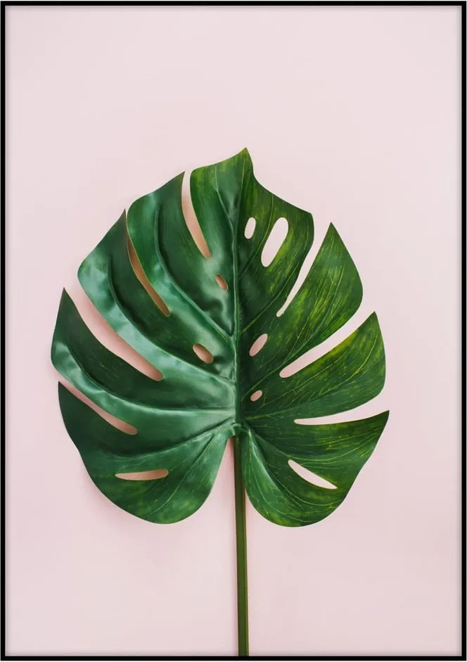 Poster Imagioo Monstera Leaf, 40 x 30 cm