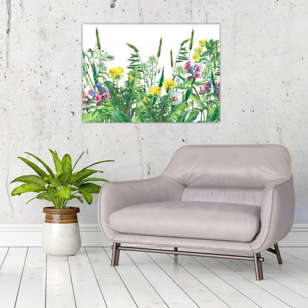 Tablou pe sticlă - Flori de pajiște pictate (70x50 cm)