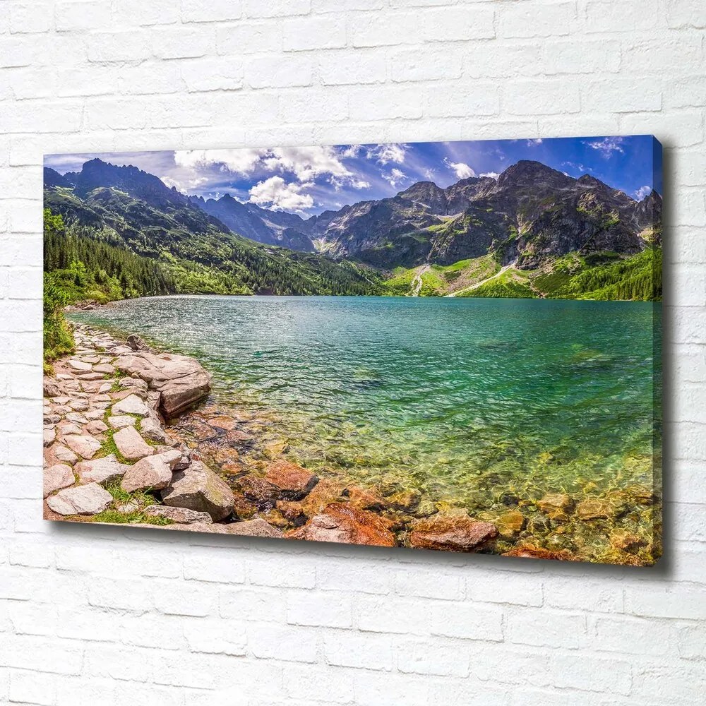 Print pe pânză Marine ochi tatry