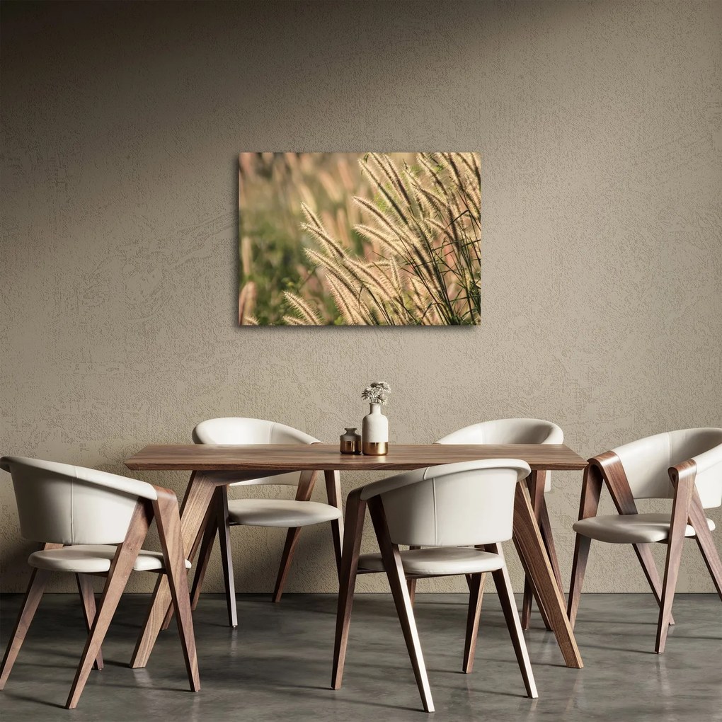Tablou - Cereale (70x50 cm)