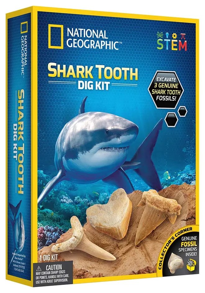 KIT CREATIV SA CAUTAM DINTI DE RECHINI - NATIONAL GEOGRAPHIC (NG29660)