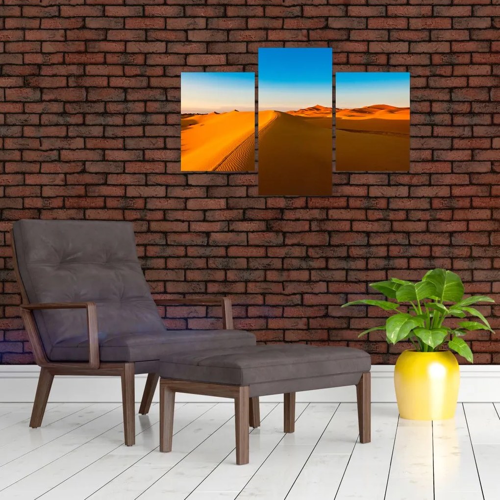 Tablou deșertului (90x60 cm)