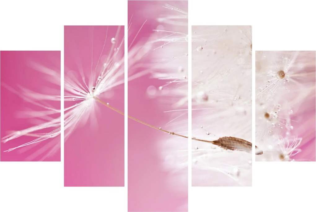 Tablou - Floare macro (150x105 cm)