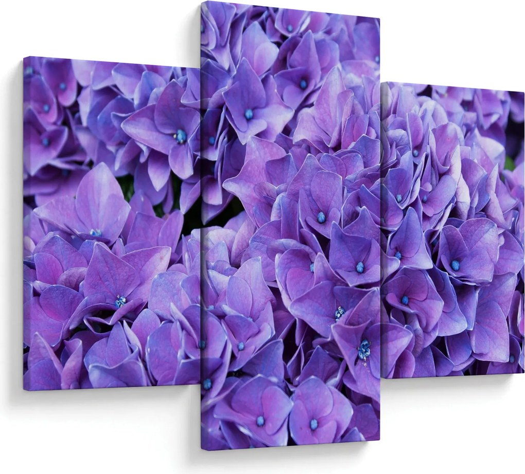 Tablou cu flori violete (90x60 cm)