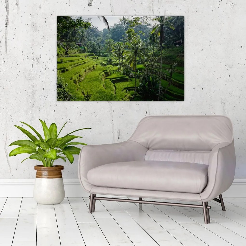 Tablou cu terasele cu orez Tegalalang, Bali (90x60 cm)