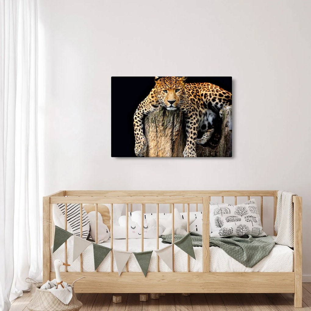 Tablou - Ghepard (90x60 cm)