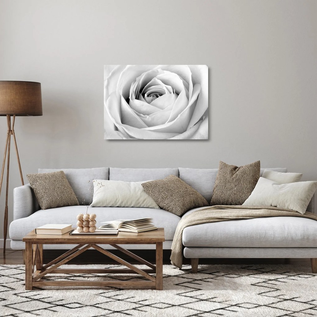 Tablou pe sticlă - Detailu de floare de trandafir (70x50 cm)