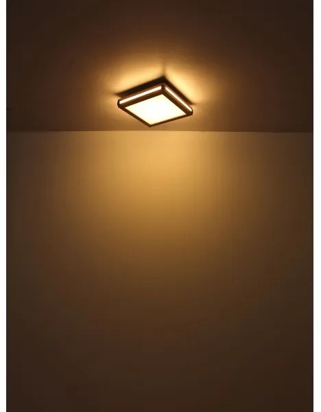 Plafonieră LED CARLA LED/12W/230V 30x30 cm Globo 41589D1