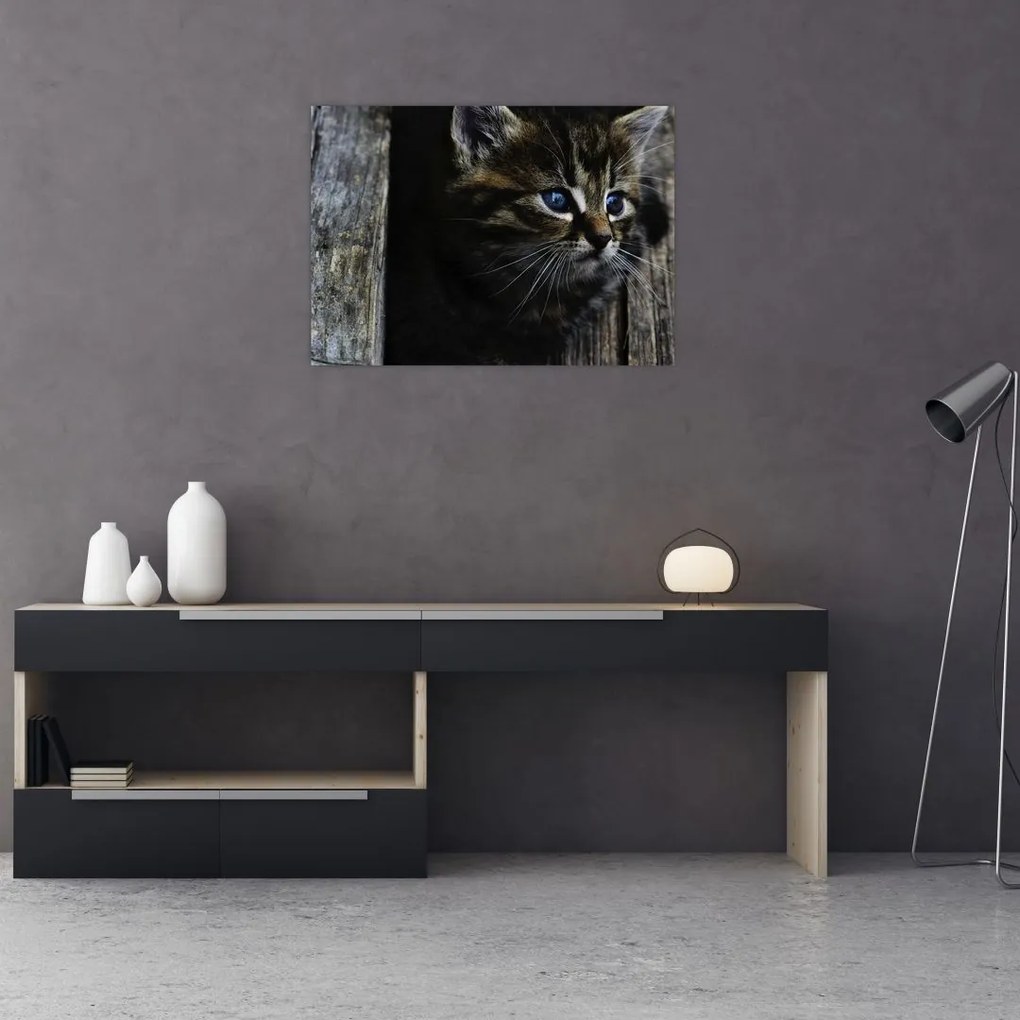 Tablou pe sticlă cu pisicuța (70x50 cm)
