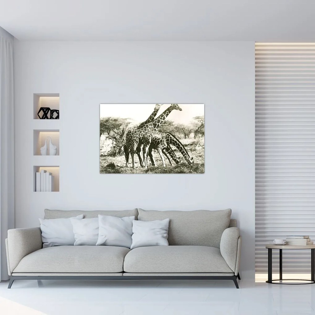 Tablou - Girafe, de epocă (90x60 cm)