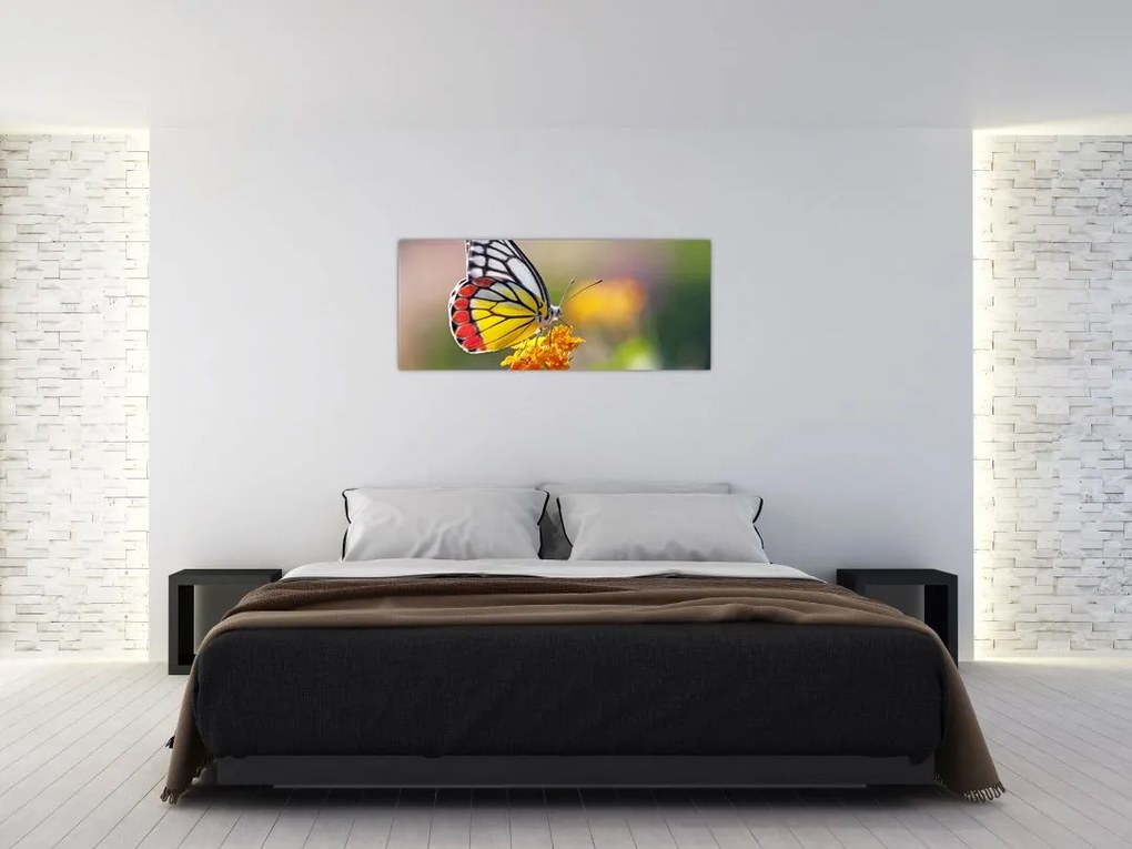 Tablou - Fluture pe floare (120x50 cm)